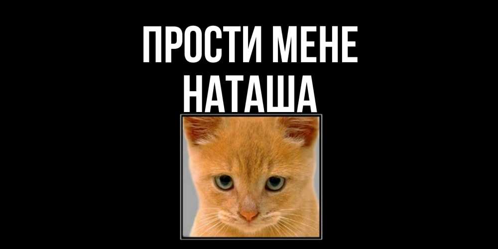 Открытка на каждый день з підписом, Наташа Прости мене рыжий грустный кот просит прощения Прикольна листівка з побажанням онлайн скачати безкоштовно 
