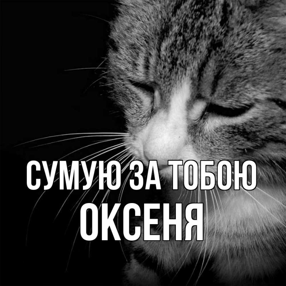 Открытка на каждый день з підписом, Оксеня Сумую за тобою мне скучно Прикольна листівка з побажанням онлайн скачати безкоштовно 