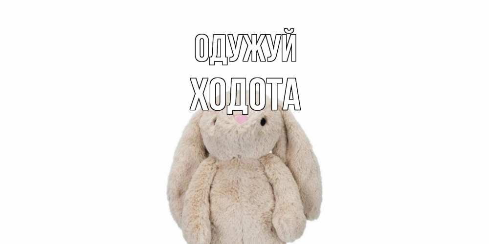 Открытка на каждый день з підписом, Ходота Одужуй не болей Прикольна листівка з побажанням онлайн скачати безкоштовно 