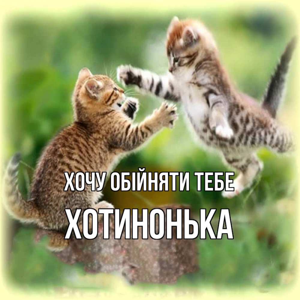 Открытка на каждый день з підписом, Хотинонька Хочу обійняти тебе игры котят Прикольна листівка з побажанням онлайн скачати безкоштовно 