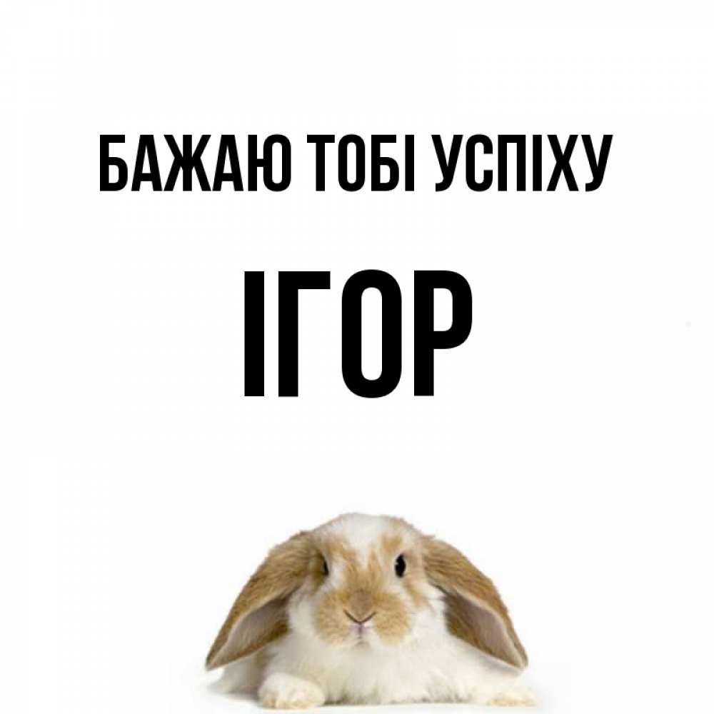 Открытка на каждый день з підписом, Ігор Бажаю тобі успіху открытки с произвольным текстом который можно вставить в открытку и создать ее самостоятельно бесплатно онлайн Прикольна листівка з побажанням онлайн скачати безкоштовно 