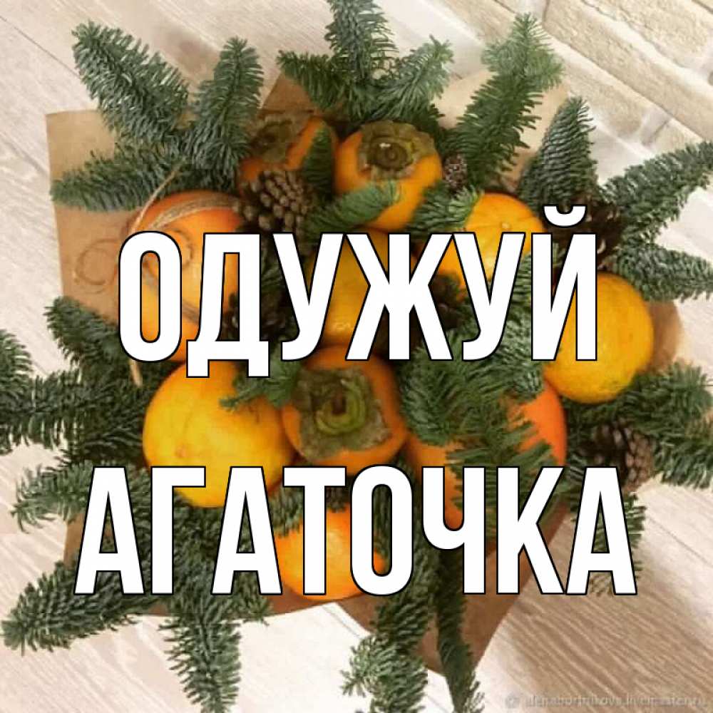 Открытка на каждый день з підписом, Агаточка Одужуй апельсины и хурьма Прикольна листівка з побажанням онлайн скачати безкоштовно 