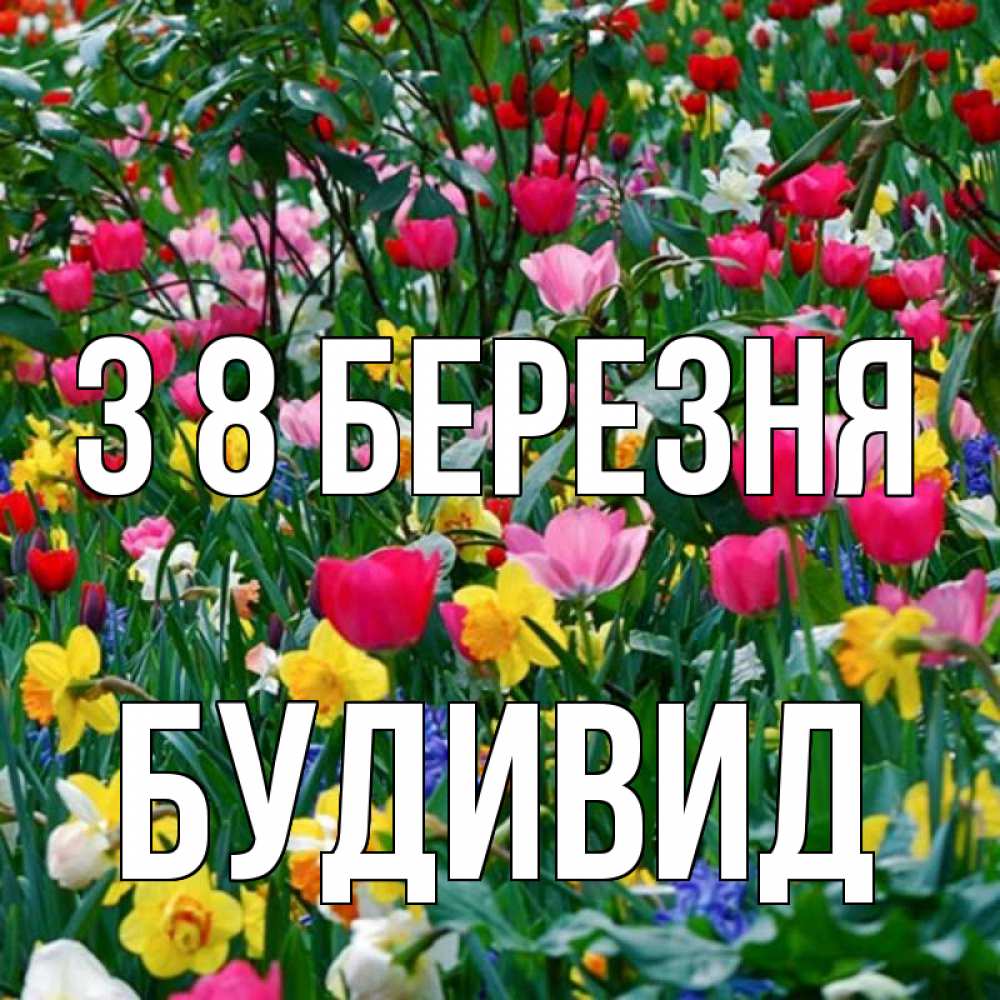 Открытка на каждый день з підписом, Будивид З 8 БЕРЕЗНЯ с международным женским днем поздравления для женщины Прикольна листівка з побажанням онлайн скачати безкоштовно 