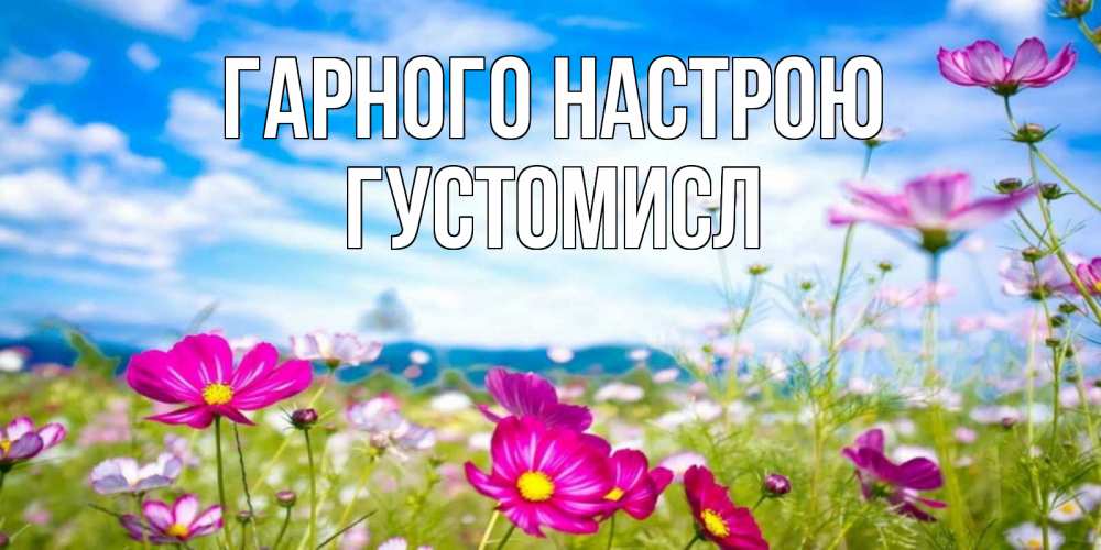 Открытка на каждый день з підписом, Густомисл Гарного настрою поле цветов Прикольна листівка з побажанням онлайн скачати безкоштовно 