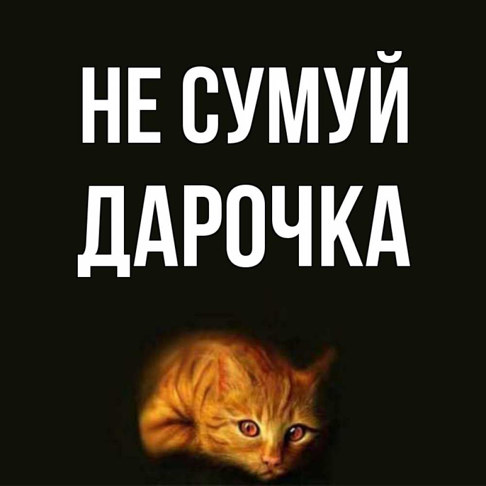 Открытка на каждый день з підписом, Дарочка Не сумуй лежащий кот в темноте Прикольна листівка з побажанням онлайн скачати безкоштовно 