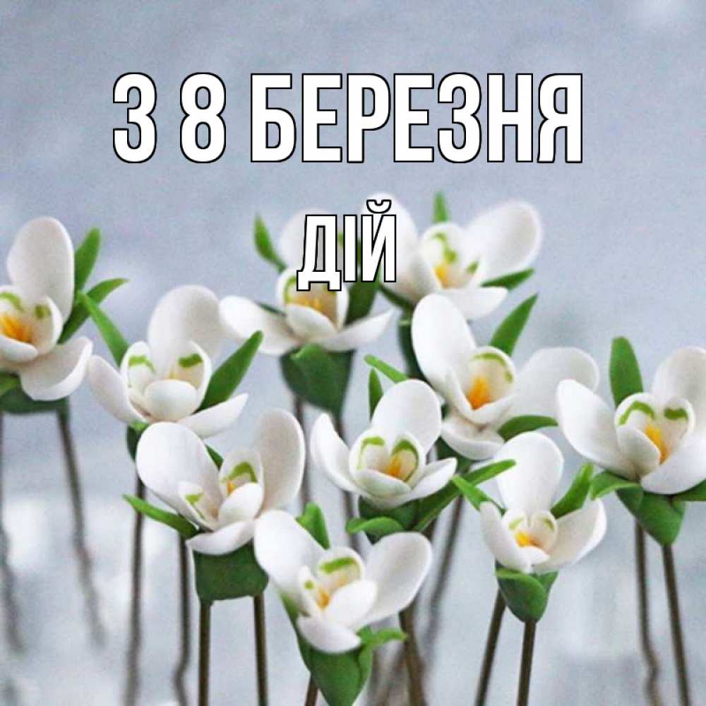 Открытка на каждый день з підписом, Дій З 8 БЕРЕЗНЯ весенние цветы Прикольна листівка з побажанням онлайн скачати безкоштовно 