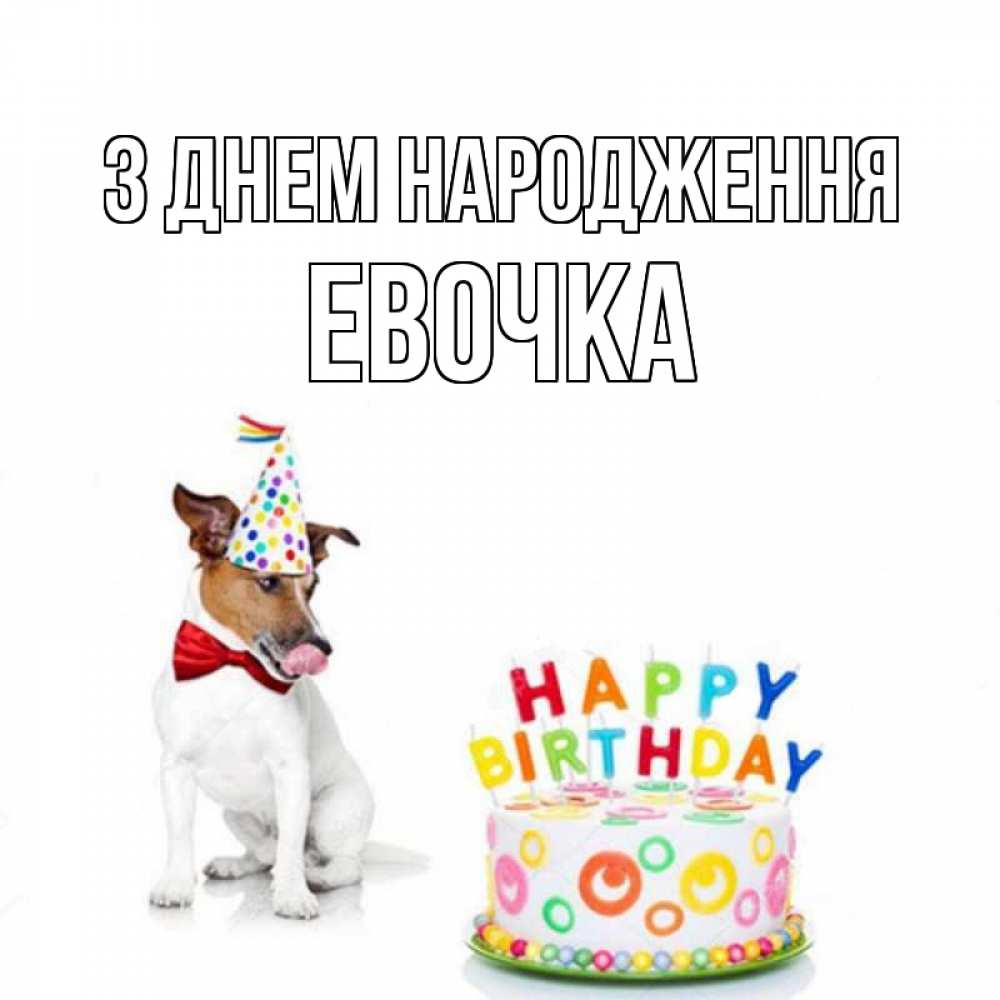 Открытка на каждый день з підписом, Евочка З Днем народження праздник Прикольна листівка з побажанням онлайн скачати безкоштовно 