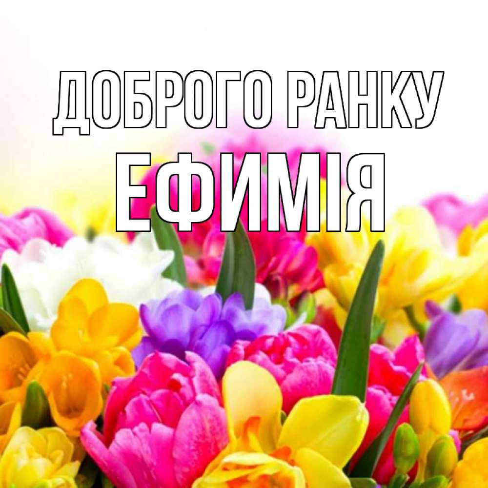 Открытка на каждый день з підписом, Ефимія Доброго ранку создать открытку со свое подписью Прикольна листівка з побажанням онлайн скачати безкоштовно 