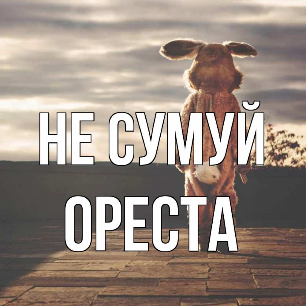 Открытка на каждый день з підписом, Ореста Не сумуй со спины Прикольна листівка з побажанням онлайн скачати безкоштовно 