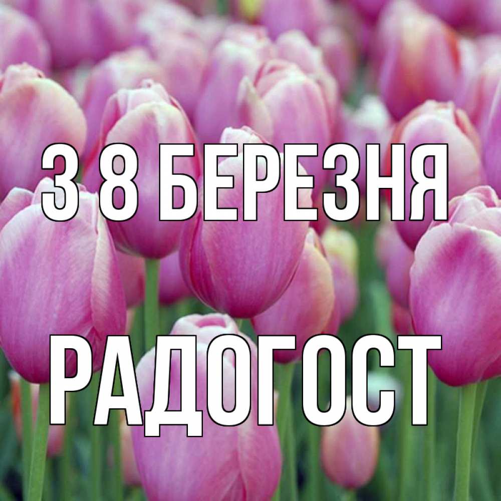 Открытка на каждый день з підписом, Радогост З 8 БЕРЕЗНЯ на международный женский день 3 Прикольна листівка з побажанням онлайн скачати безкоштовно 