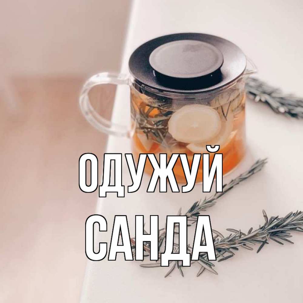 Открытка на каждый день з підписом, Санда Одужуй ну вы там держитесь Прикольна листівка з побажанням онлайн скачати безкоштовно 