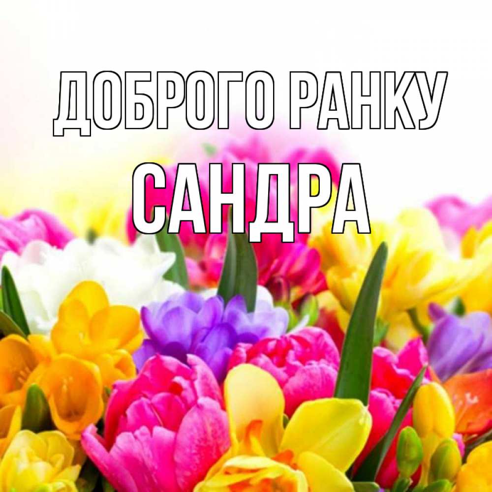 Открытка на каждый день з підписом, Сандра Доброго ранку создать открытку со свое подписью Прикольна листівка з побажанням онлайн скачати безкоштовно 