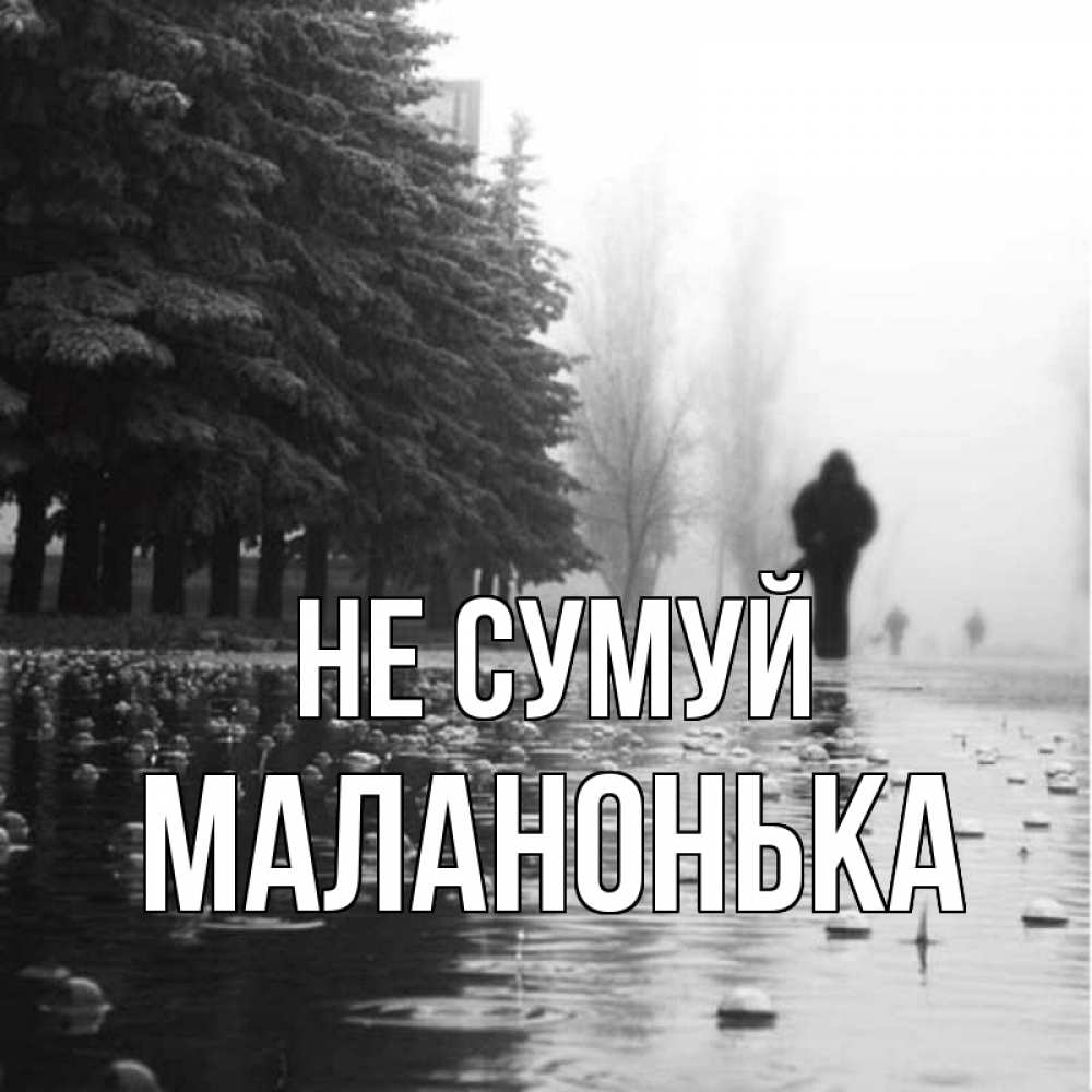 Открытка на каждый день з підписом, Маланонька Не сумуй улица под дождем Прикольна листівка з побажанням онлайн скачати безкоштовно 