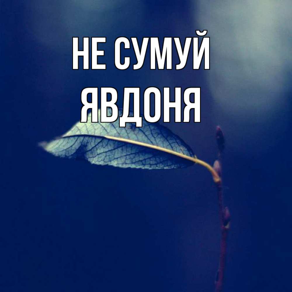 Открытка на каждый день з підписом, Явдоня Не сумуй растение Прикольна листівка з побажанням онлайн скачати безкоштовно 