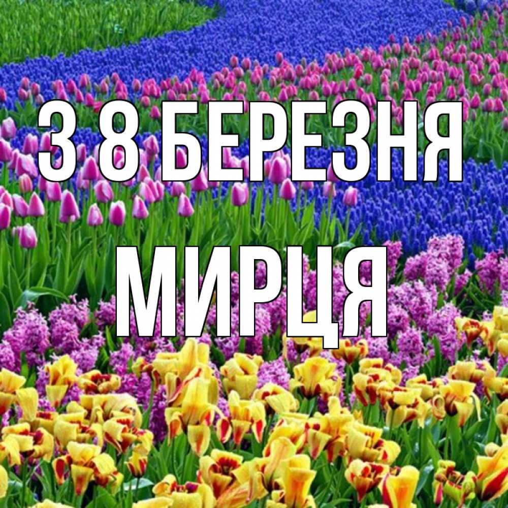 Открытка на каждый день з підписом, Мирця З 8 БЕРЕЗНЯ цветы Прикольна листівка з побажанням онлайн скачати безкоштовно 