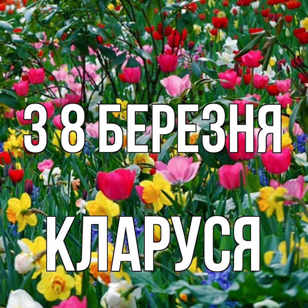 Открытка на каждый день з підписом, Кларуся З 8 БЕРЕЗНЯ с международным женским днем поздравления для женщины Прикольна листівка з побажанням онлайн скачати безкоштовно 