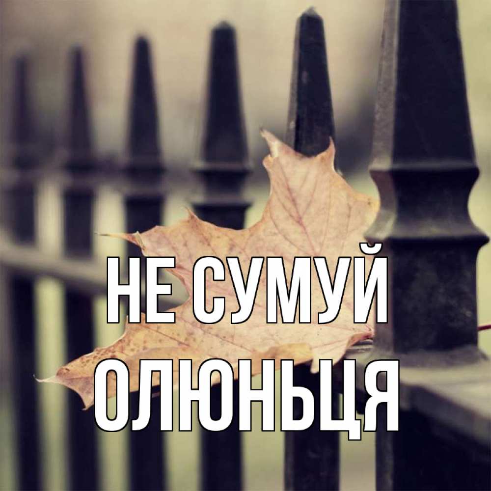 Открытка на каждый день з підписом, Олюньця Не сумуй лист клена Прикольна листівка з побажанням онлайн скачати безкоштовно 