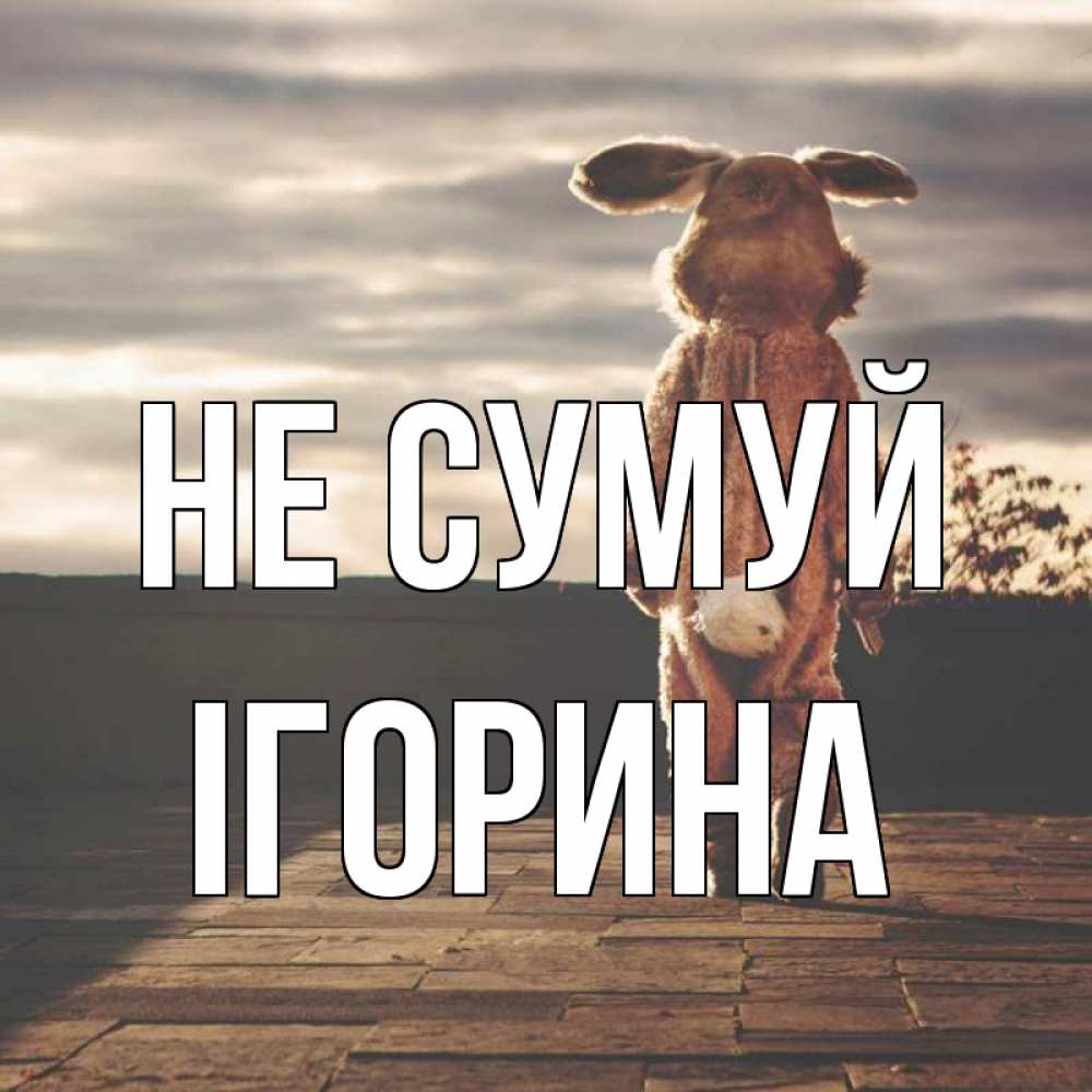 Открытка на каждый день з підписом, Ігорина Не сумуй со спины Прикольна листівка з побажанням онлайн скачати безкоштовно 