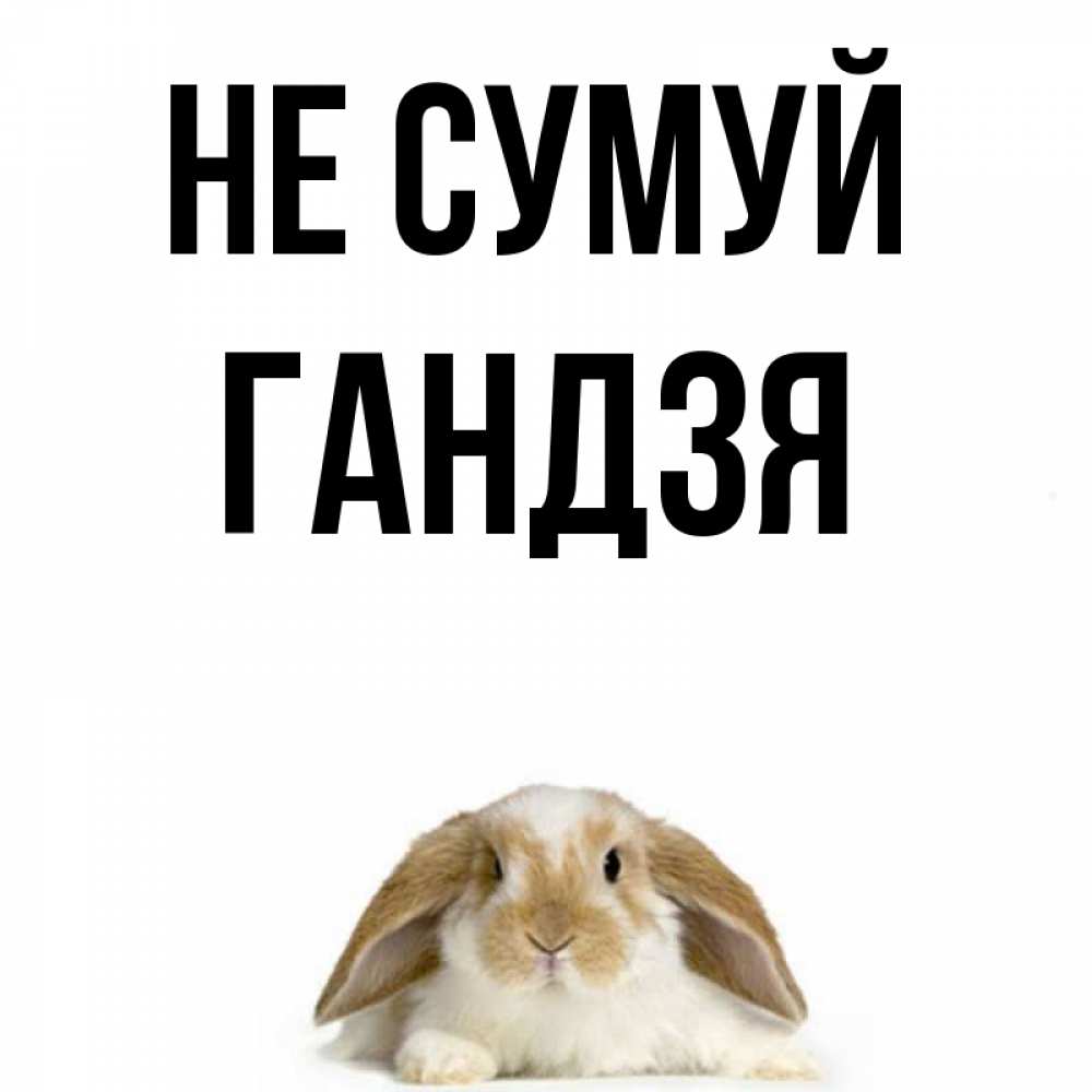 Открытка на каждый день з підписом, Гандзя Не сумуй коричнево белый заяц с большими ушками Прикольна листівка з побажанням онлайн скачати безкоштовно 
