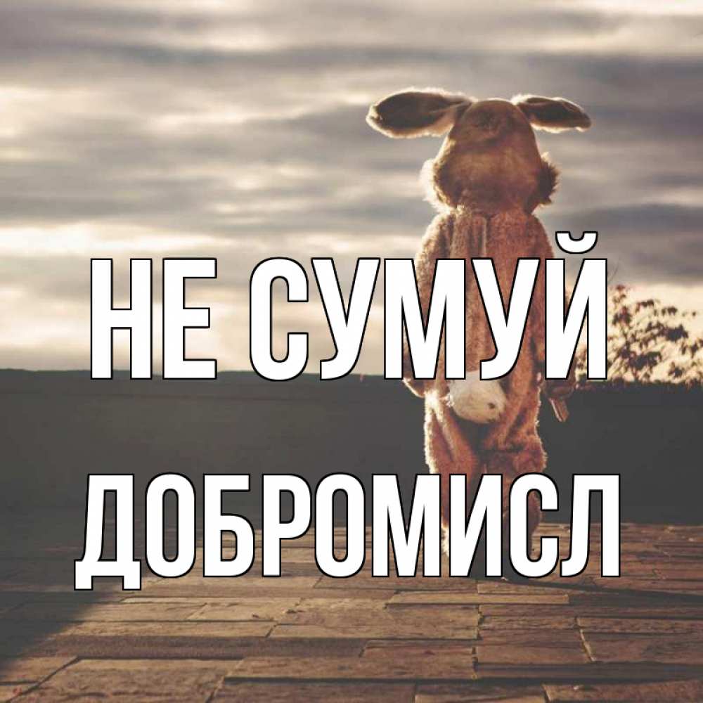Открытка на каждый день з підписом, Добромисл Не сумуй со спины Прикольна листівка з побажанням онлайн скачати безкоштовно 