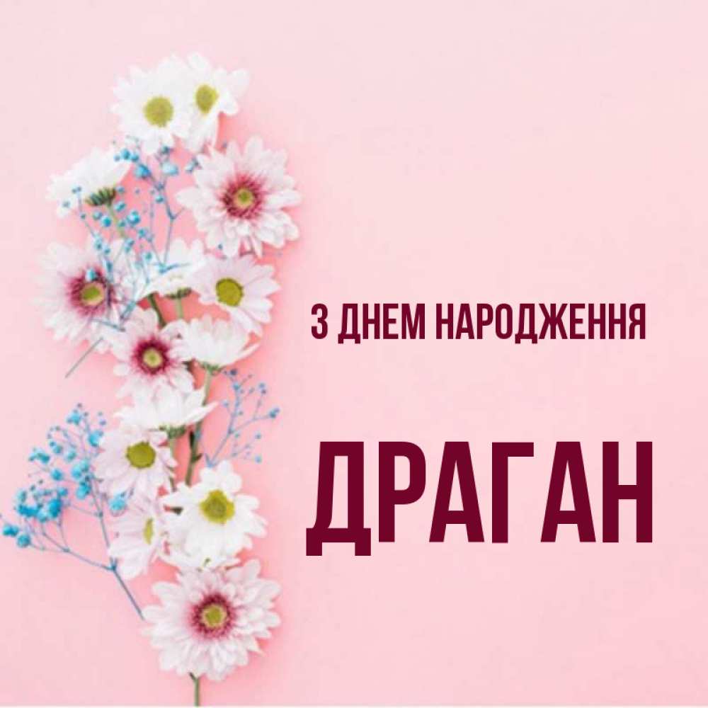 Открытка на каждый день з підписом, Драган З Днем народження Родная моя с днем рождения тебя картинка с цветами белыми и голубыми Прикольна листівка з побажанням онлайн скачати безкоштовно 