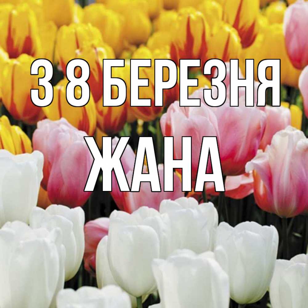 Открытка на каждый день з підписом, Жана З 8 БЕРЕЗНЯ разноцветные цветы Прикольна листівка з побажанням онлайн скачати безкоштовно 