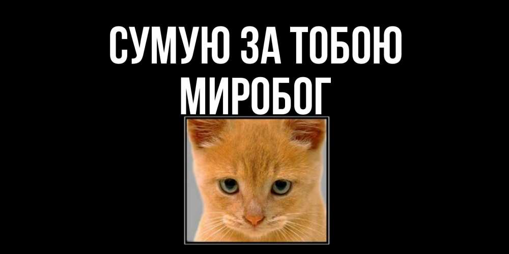 Открытка на каждый день з підписом, Миробог Сумую за тобою открытки рыжий котенок скучает по тебе Прикольна листівка з побажанням онлайн скачати безкоштовно 