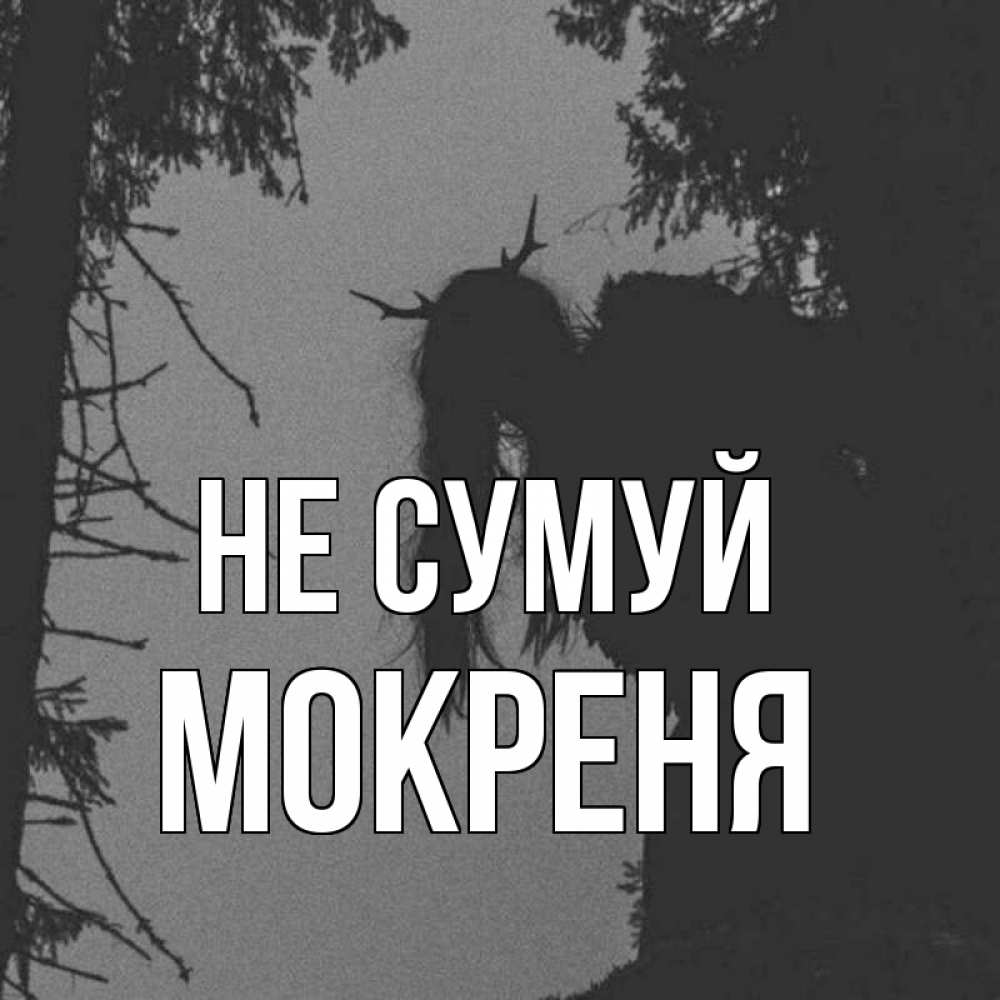 Открытка на каждый день з підписом, Мокреня Не сумуй чудище лесное Прикольна листівка з побажанням онлайн скачати безкоштовно 