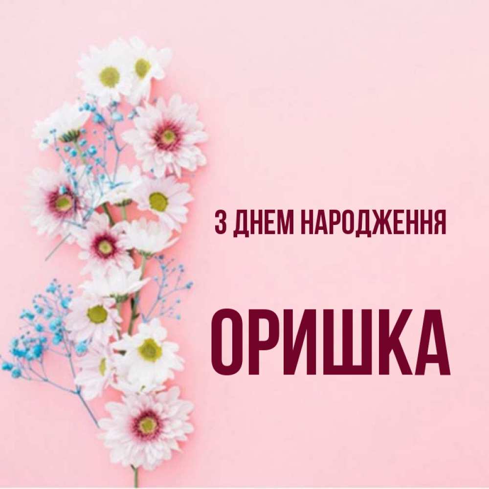 Открытка на каждый день з підписом, Оришка З Днем народження Родная моя с днем рождения тебя картинка с цветами белыми и голубыми Прикольна листівка з побажанням онлайн скачати безкоштовно 