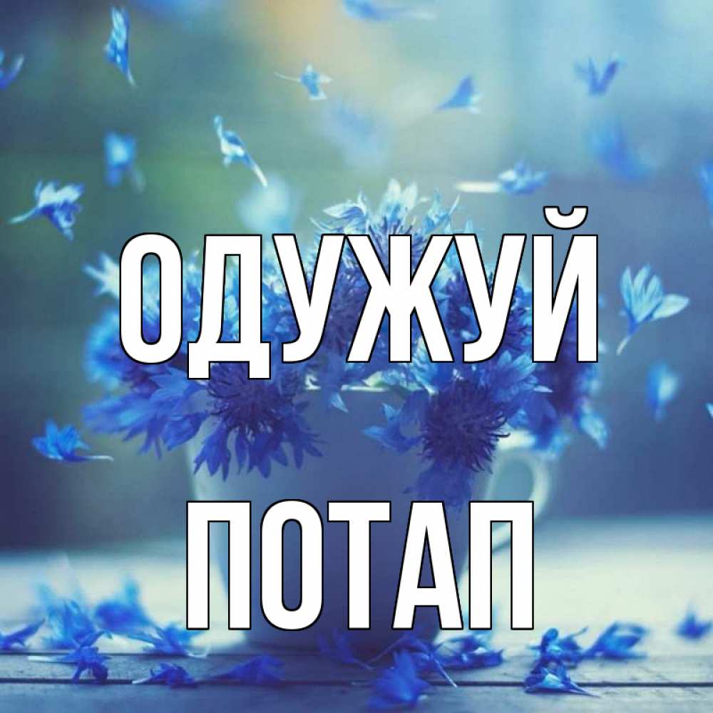 Открытка на каждый день з підписом, Потап Одужуй кружка с зельем и цветами Прикольна листівка з побажанням онлайн скачати безкоштовно 