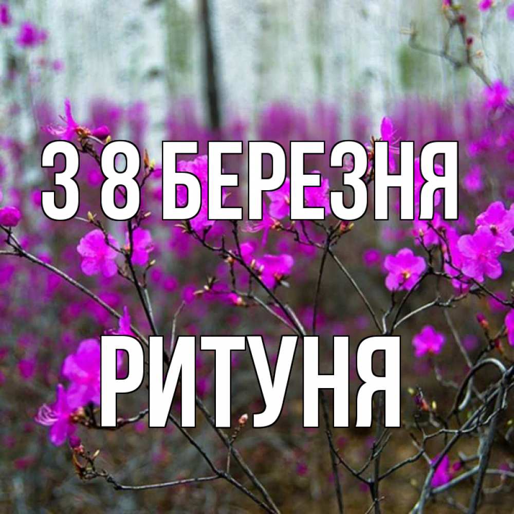 Открытка на каждый день з підписом, Ритуня З 8 БЕРЕЗНЯ дикие цветы Прикольна листівка з побажанням онлайн скачати безкоштовно 