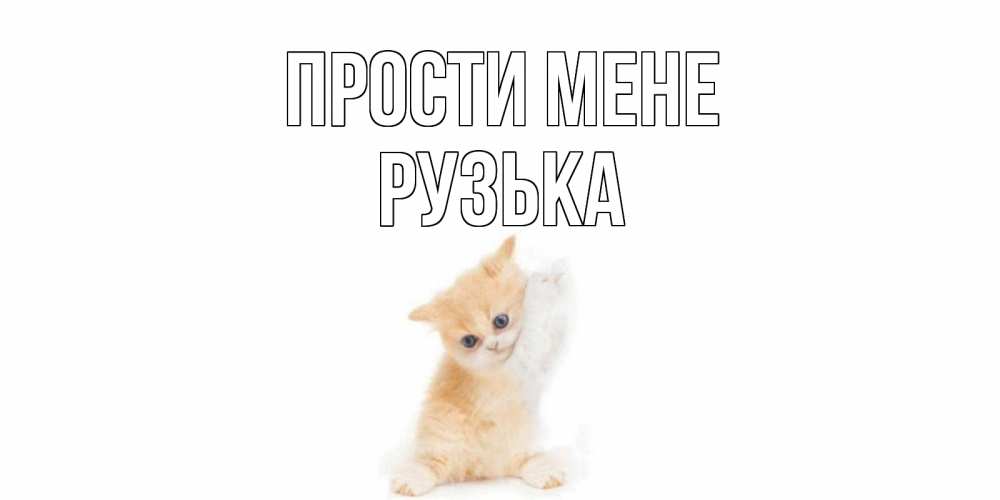 Открытка на каждый день з підписом, Рузька Прости мене кот Прикольна листівка з побажанням онлайн скачати безкоштовно 