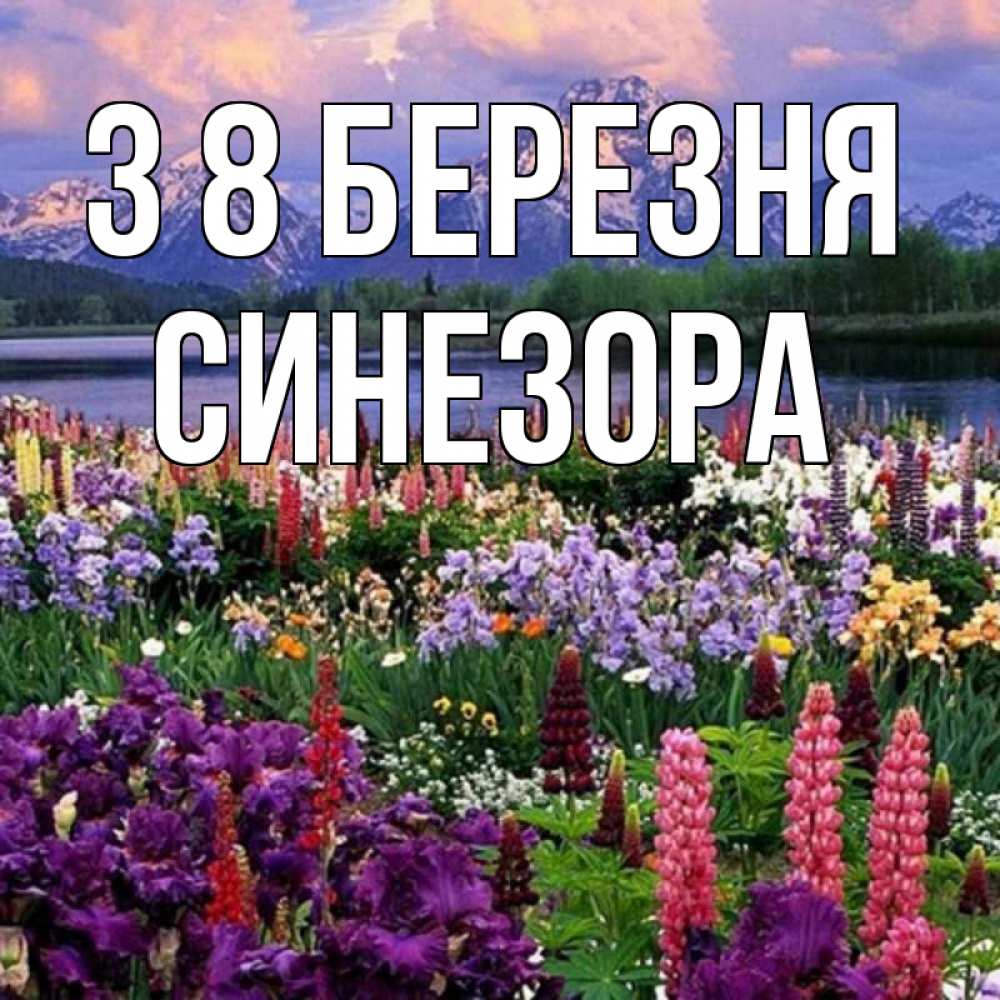 Открытка на каждый день з підписом, Синезора З 8 БЕРЕЗНЯ международный женский день Прикольна листівка з побажанням онлайн скачати безкоштовно 