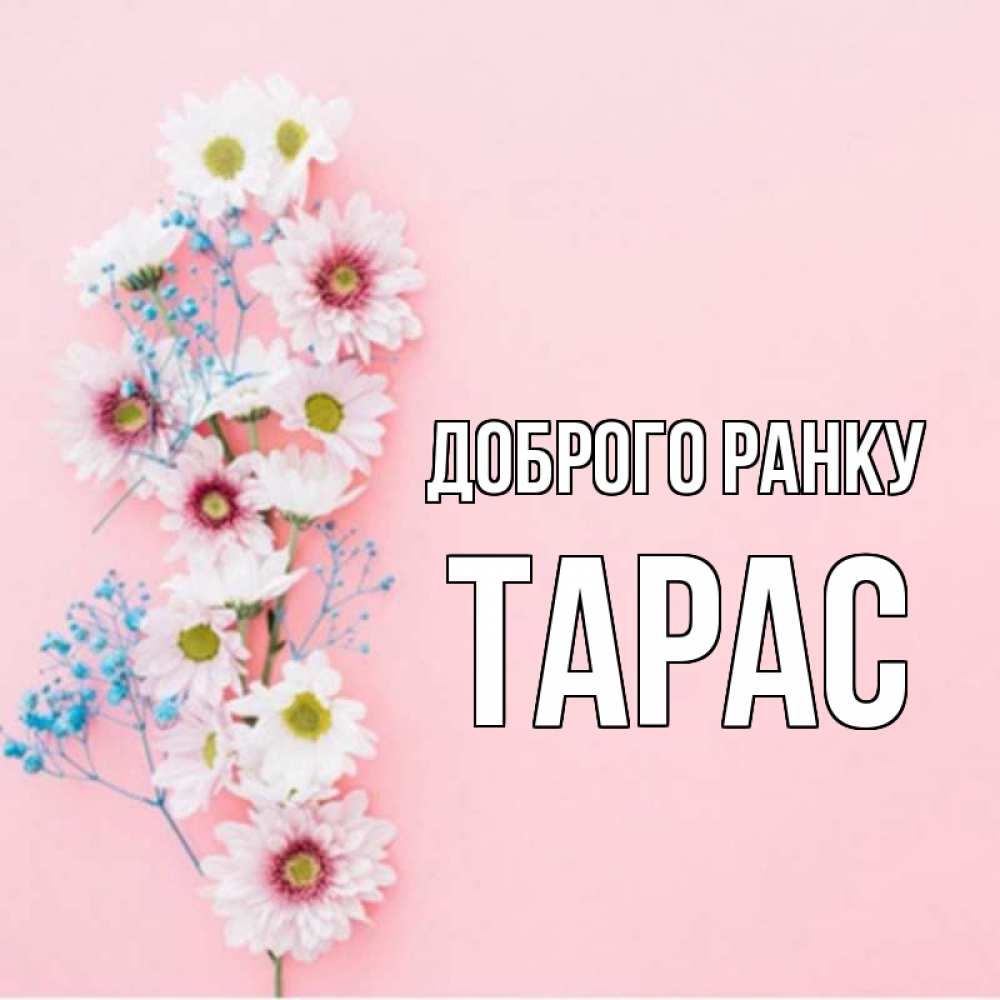 Открытка на каждый день з підписом, Тарас Доброго ранку цветы с подписью Прикольна листівка з побажанням онлайн скачати безкоштовно 