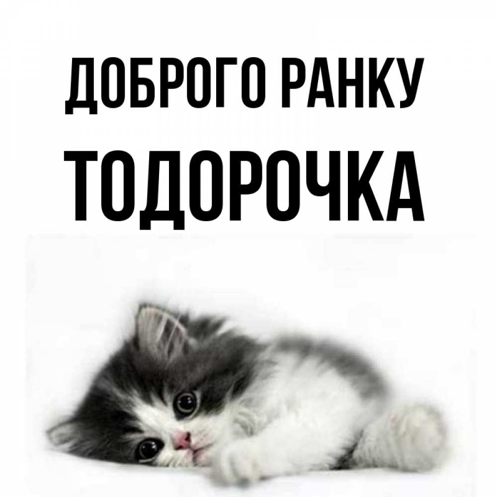 Открытка на каждый день з підписом, Тодорочка Доброго ранку кот лапки Прикольна листівка з побажанням онлайн скачати безкоштовно 