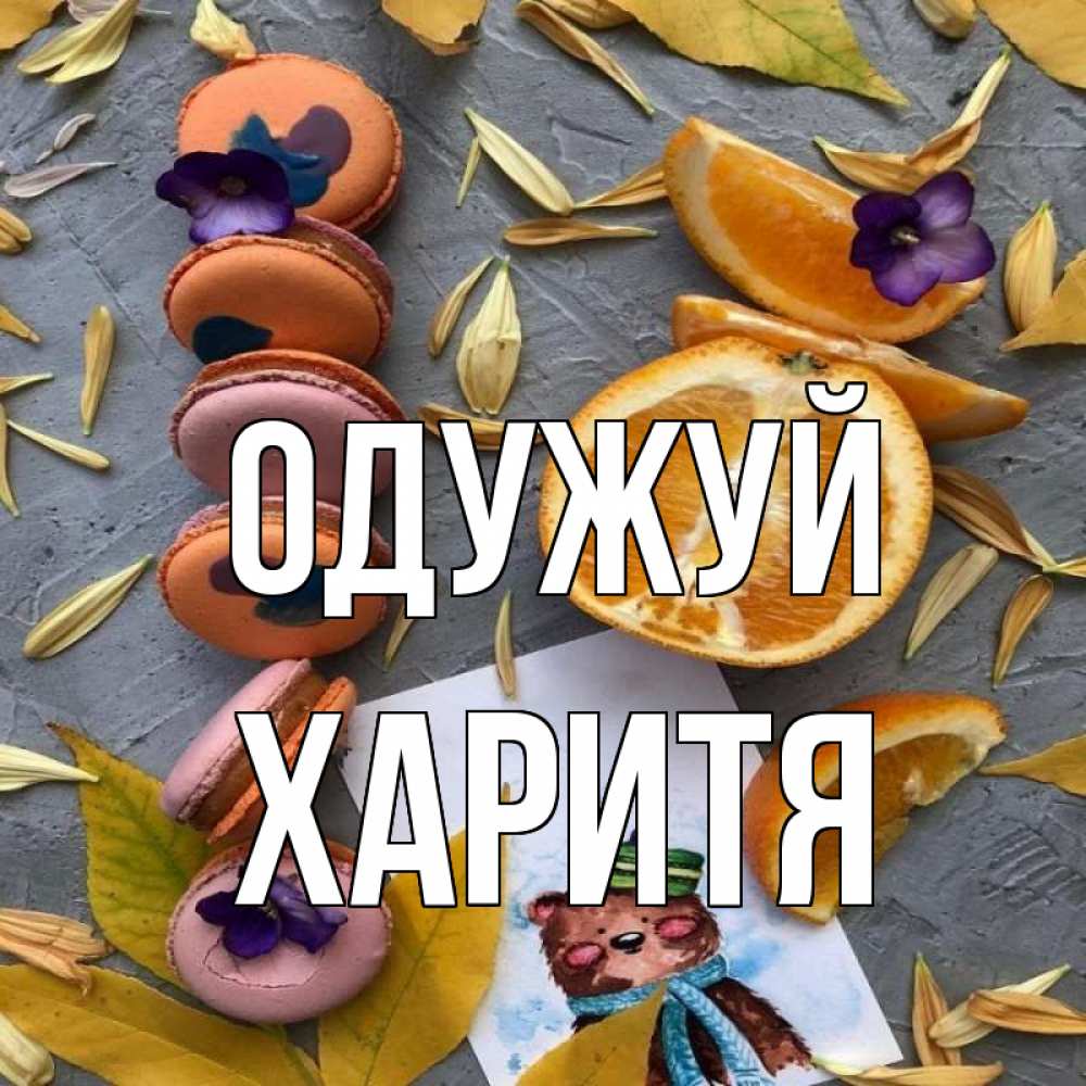 Открытка на каждый день з підписом, Харитя Одужуй не болейте Прикольна листівка з побажанням онлайн скачати безкоштовно 