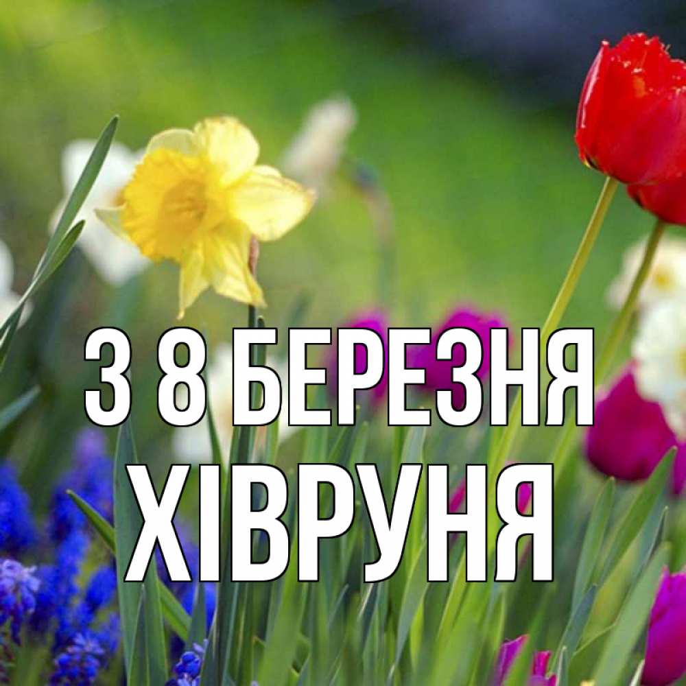 Открытка на каждый день з підписом, Хівруня З 8 БЕРЕЗНЯ международный женский день 3 Прикольна листівка з побажанням онлайн скачати безкоштовно 