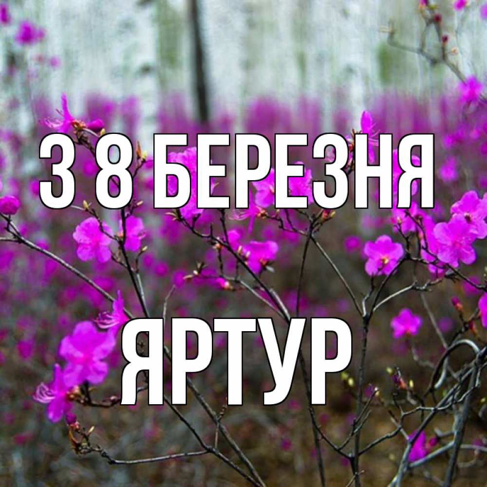 Открытка на каждый день з підписом, Яртур З 8 БЕРЕЗНЯ дикие цветы Прикольна листівка з побажанням онлайн скачати безкоштовно 