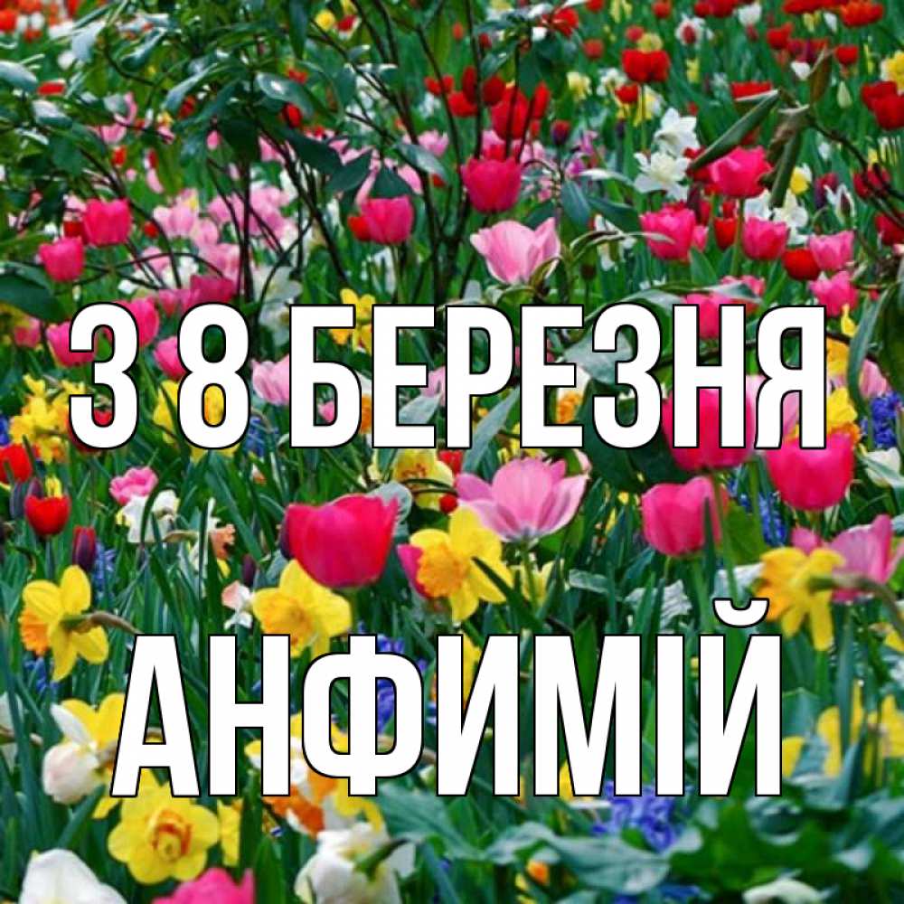 Открытка на каждый день з підписом, Анфимій З 8 БЕРЕЗНЯ с международным женским днем поздравления для женщины Прикольна листівка з побажанням онлайн скачати безкоштовно 