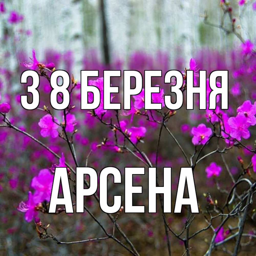 Открытка на каждый день з підписом, Арсена З 8 БЕРЕЗНЯ дикие цветы Прикольна листівка з побажанням онлайн скачати безкоштовно 
