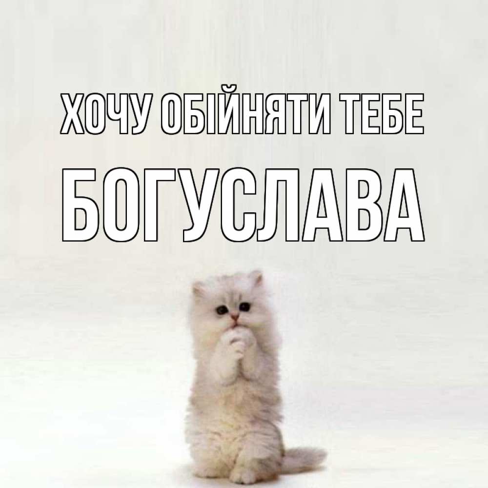Открытка на каждый день з підписом, Богуслава Хочу обійняти тебе открытки с креативными подписями Прикольна листівка з побажанням онлайн скачати безкоштовно 