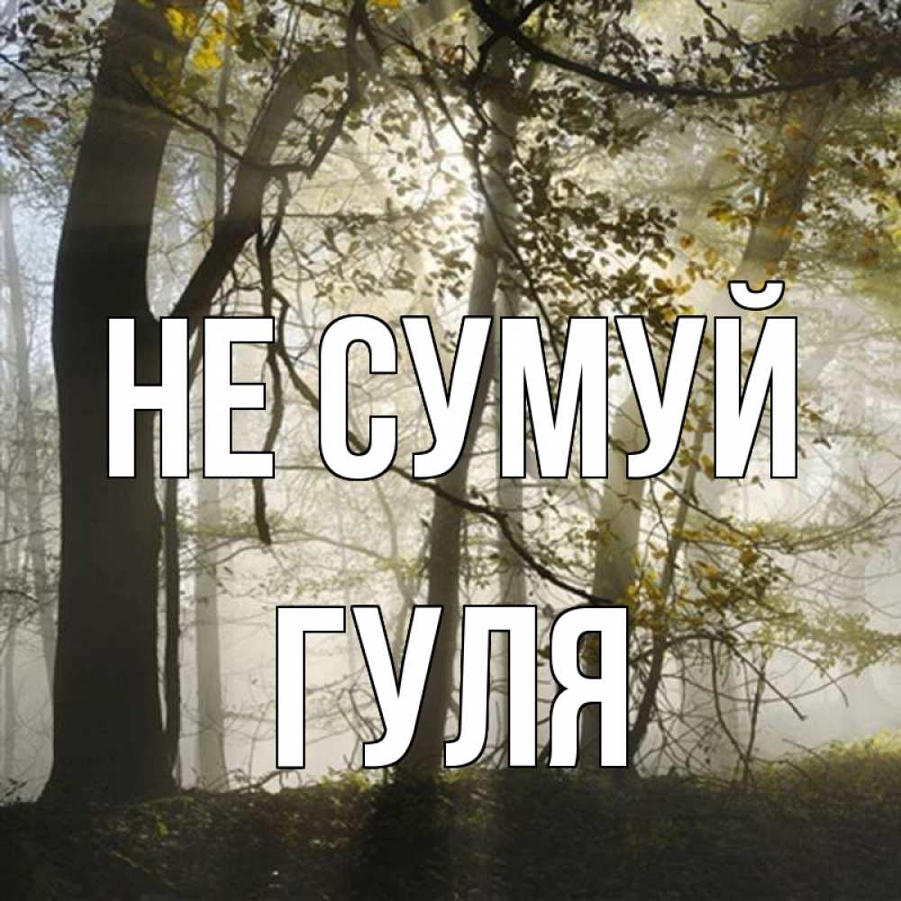Открытка на каждый день з підписом, Гуля Не сумуй лес и свет Прикольна листівка з побажанням онлайн скачати безкоштовно 