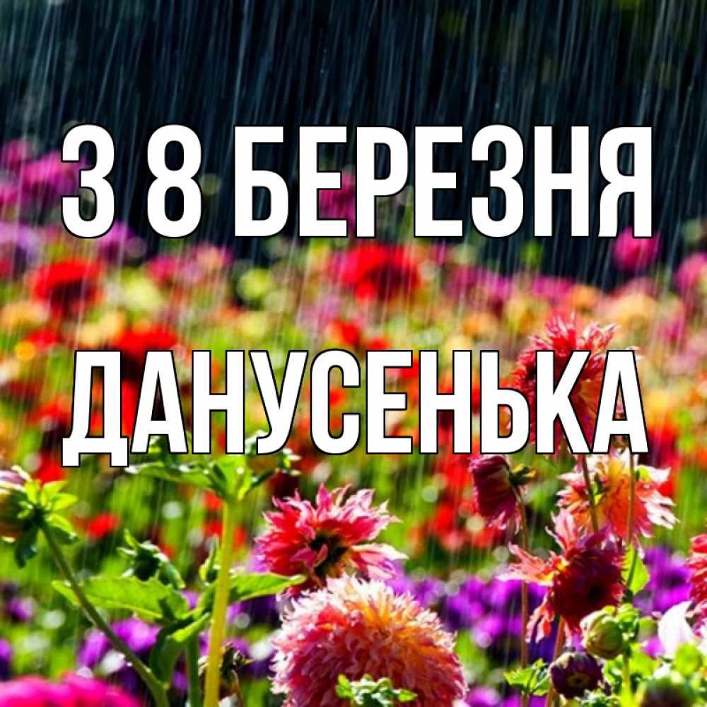 Открытка на каждый день з підписом, Данусенька З 8 БЕРЕЗНЯ цветы под дождиком к международному женскому дню Прикольна листівка з побажанням онлайн скачати безкоштовно 
