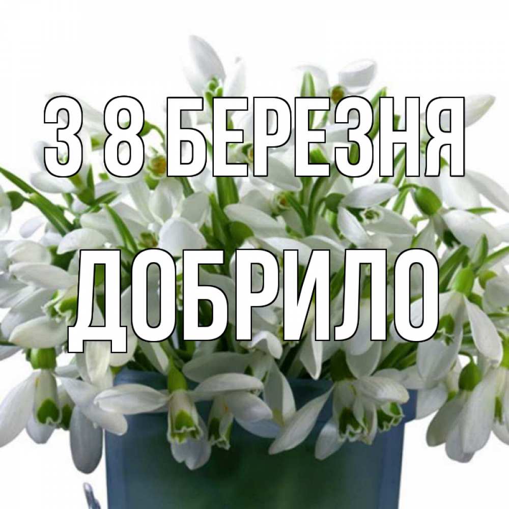 Открытка на каждый день з підписом, Добрило З 8 БЕРЕЗНЯ цветы к международному женскому дню Прикольна листівка з побажанням онлайн скачати безкоштовно 
