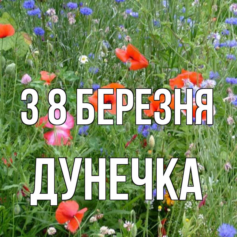 Открытка на каждый день з підписом, Дунечка З 8 БЕРЕЗНЯ международный женский день 4 Прикольна листівка з побажанням онлайн скачати безкоштовно 