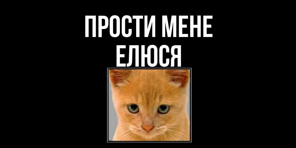 Открытка на каждый день з підписом, Елюся Прости мене рыжий грустный кот просит прощения Прикольна листівка з побажанням онлайн скачати безкоштовно 