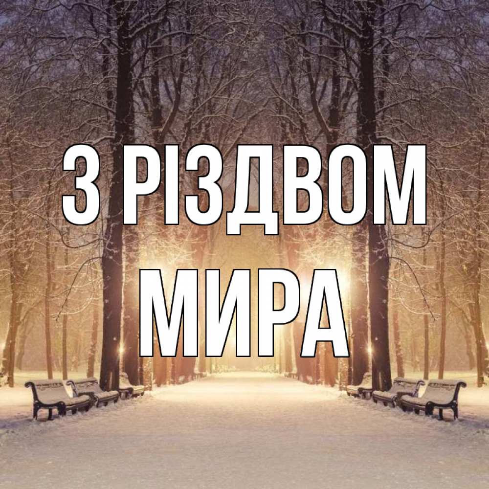 Открытка на каждый день з підписом, Мира З Різдвом зима, парк, фонарь, лес Прикольна листівка з побажанням онлайн скачати безкоштовно 