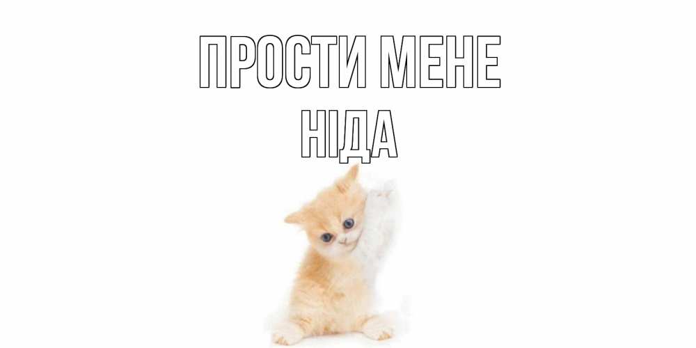 Открытка на каждый день з підписом, Ніда Прости мене кот Прикольна листівка з побажанням онлайн скачати безкоштовно 