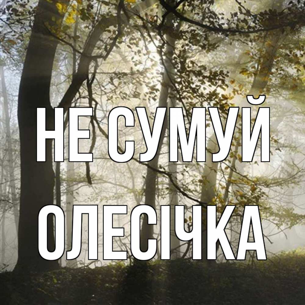 Открытка на каждый день з підписом, Олесічка Не сумуй лес и свет Прикольна листівка з побажанням онлайн скачати безкоштовно 