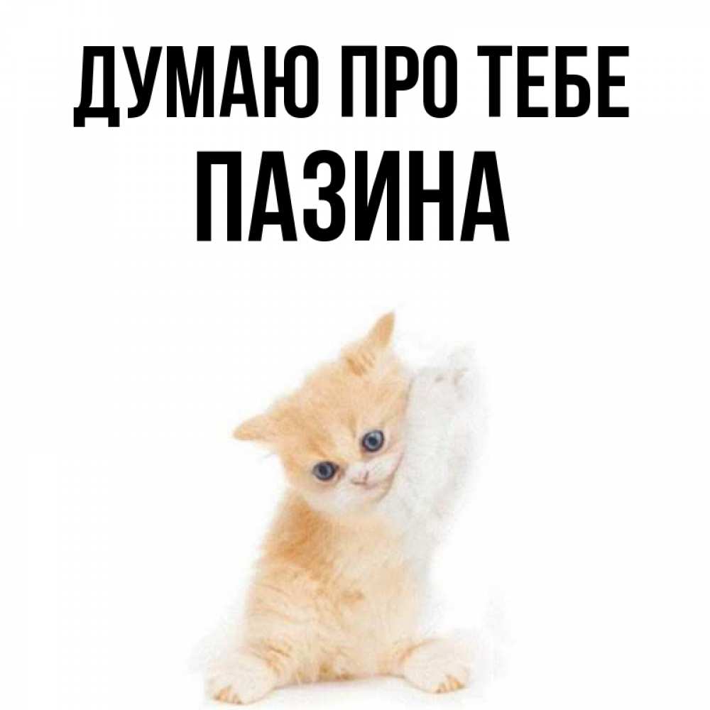 Открытка на каждый день з підписом, Пазина Думаю про тебе зверушки и милота Прикольна листівка з побажанням онлайн скачати безкоштовно 